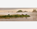 Fotoboek Holland – Natuur in de delta | Ems Films