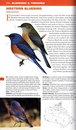 Vogelgids Birds of Canada | Lone Pine