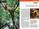 Reisgids Madagascar | Insight Guides