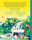 Kinderreisgids De Amazone | Fontaine Uitgevers