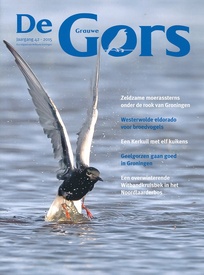 De Grauwe Gors jaarblad | Avifauna Groningen