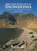 Wandelgids Great Mountain Days in Snowdonia | Cicerone