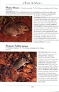 Natuurgids a Naturalist's guide to the Mammals of Australia | John Beaufoy