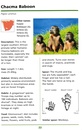 Natuurgids First Field Guide to Animal Tracks of Southern Africa | Struik Nature