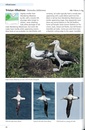 Vogelgids Seabirds of Southern Africa | Struik Nature