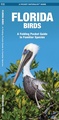 Vogelgids Florida Birds | Waterford Press