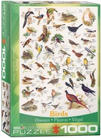 Birds - Vogels