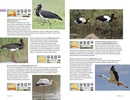 Natuurgids - Vogelgids Safarigids Gambia en Senegal | Afrika Safari