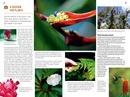 Reisgids Costa Rica | Insight Guides