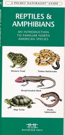 Natuurgids ReptilesAmphibians USA | Waterford Press