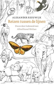 Reisverhaal - Opruiming Reizen tussen de lijnen | Alexander van Reeuwijk