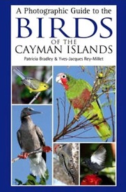 Vogelgids Kaaiman eilanden - Cayman Islands | Christopher Helm