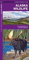 Alaska Wildlife An introduction to familiar species