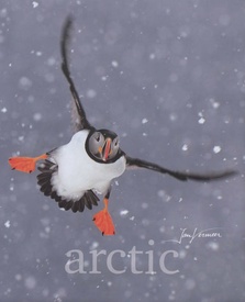 Fotoboek Arctic | Thieme Art