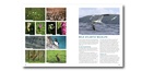 Reisgids Exploring Ireland's Wild Atlantic Way | Three Rock Books