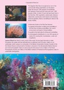 Duikgids - Natuurgids An Underwater Guide to the Red Sea - Rode Zee | John Beaufoy