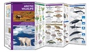 Natuurgids Arctic Wildlife | Waterford Press