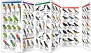 Vogelgids Panama Birds | Waterford Press