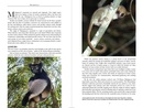 Natuurgids Madagascar Wildlife - Madagaskar | Bradt Travel Guides