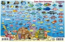 Waterkaart Fish Card Caribbean Sea Dive Sites & Fish ID Card / Coral Reef Creatures | Franko Maps
