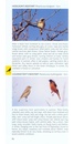 Vogelgids Pocket Photo Guide Birds of the Himalayas | Bloomsbury