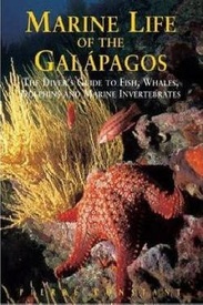 Duikgids - Natuurgids Marine Life of the Galápagos | Odyssey