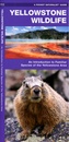 Natuurgids Adventure Set Yellowstone National Park | National Geographic